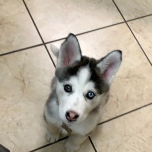 Meet your Posher, Alejandro